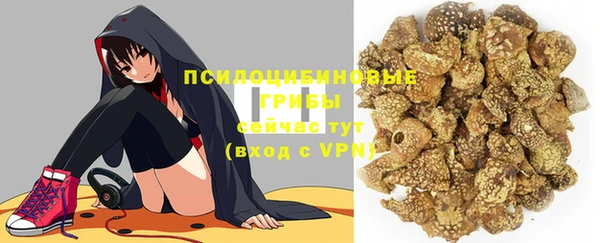 ешки Алзамай